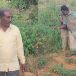 വൈദ്യുതവേലിയിൽ ചവിട്ടി പുള്ളിപ്പുലി ചത്തു