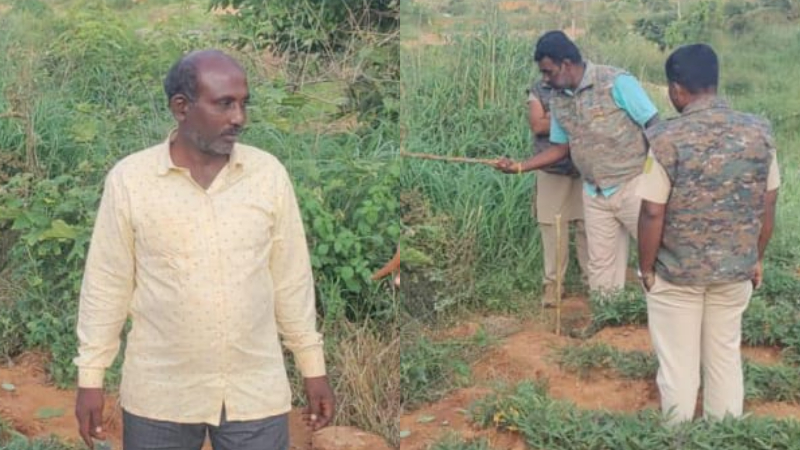 വൈദ്യുതവേലിയിൽ ചവിട്ടി പുള്ളിപ്പുലി ചത്തു