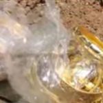 മോഷണം പോയ 25 പവന്‍ സ്വര്‍ണം ഉപേക്ഷിച്ച നിലയില്‍; കണ്ടെത്തിയത് വീടിന് സമീപത്തെ വഴിയില്‍