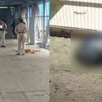 തൃശ്ശൂർ റെയിൽവേ സ്റ്റേഷനിൽ നവജാത ശിശുവിന്റെ മൃതദേഹം കണ്ടെത്തി