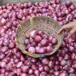 ബെംഗളൂരുവിൽ ഉള്ളിവില കുത്തനെ ഉയർന്നു