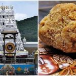 തിരുപ്പതി ലഡുവിൽ മൃഗകൊഴുപ്പുണ്ടെന്ന് ആരോപണം; വിശദീകരണവുമായി കർണാടക മിൽക്ക് ഫെഡറേഷൻ