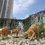 തെരുവുനായകൾക്കുള്ള മൈക്രോചിപ്പ് ഇംപ്ലാന്റേഷന്‍ പദ്ധതിക്ക് തുടക്കം കുറിച്ചു