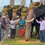 ദസറ ആനകൾക്കൊപ്പം സെൽഫി എടുക്കുന്നത് വിലക്കണമെന്ന് ആവശ്യം