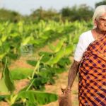 പത്മശ്രീ ജേതാവും ജൈവ കർഷകയുമായ പാപ്പമ്മാൾ അന്തരിച്ചു