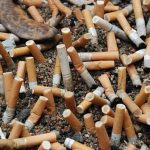 സിഗരറ്റ്, ബീഡി കുറ്റികൾ ശേഖരിക്കാൻ പ്രത്യേക മാലിന്യബാഗുകൾ സ്ഥാപിക്കും