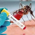 സംസ്ഥാനത്ത് ഡെങ്കിപ്പനി പകർച്ചവ്യാധിയായി പ്രഖ്യാപിച്ചു