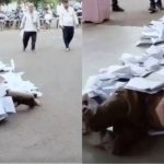 കഴുത്തില്‍ കെട്ടിത്തൂക്കിയ പരാതികളുമായി കളക്‌ട്രേറ്റില്‍ ഇഴഞ്ഞെത്തി വയോധികൻ; വൈറലായി വീഡിയോ