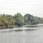 അച്ചൻകോവില്‍ നദിയുടെ ജലനിരപ്പ് ഉയരുന്നു; ജാഗ്രതാ നിര്‍ദേശം