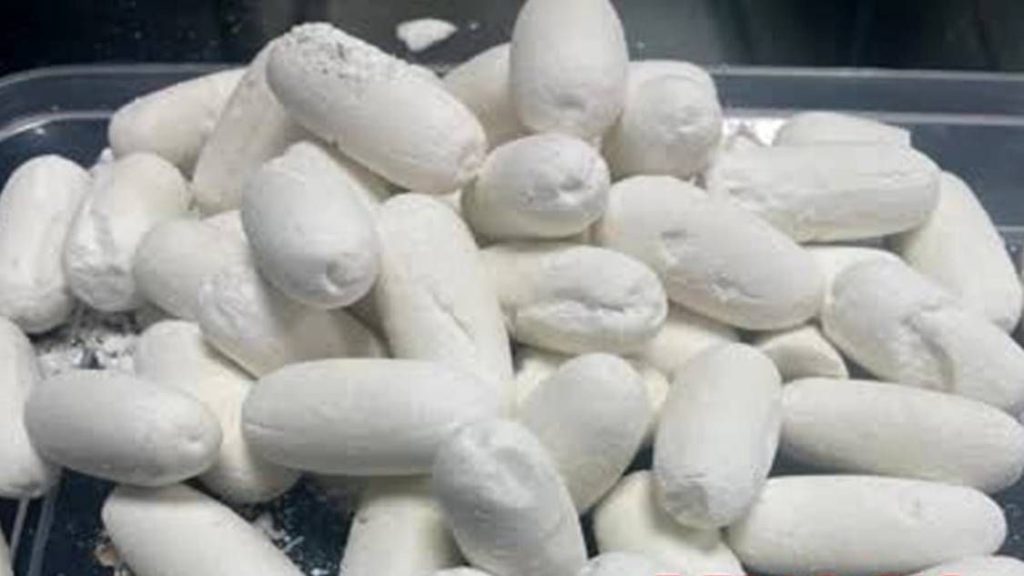 രണ്ടായിരം കോടി വിലമതിക്കുന്ന കൊക്കെയ്‌നുമായി നാല് പേര്‍ പിടിയില്‍