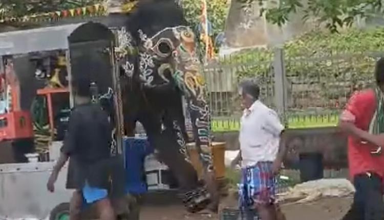 ശ്രീരംഗപട്ടണയിൽ ദസറക്കെത്തിച്ച ആന വിരണ്ടോടി