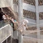 പ്രതിഷേധത്തിനിടെ സെക്രട്ടേറിയറ്റില് നിന്നു താഴേക്കു ചാടി മഹാരാഷ്ട്ര ഡെപ്യൂട്ടി സ്പീക്കര്; വീഡിയോ