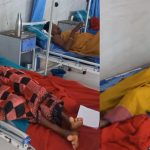 ചരക്ക് വാഹനം മറിഞ്ഞ് 29 യാത്രക്കാർക്ക് പരുക്ക്