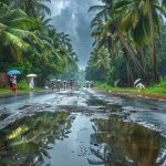 പരക്കെ മഴയ്ക്ക് സാധ്യത; കേരളത്തില്‍ 12 ജില്ലകളിൽ നാളെ യെല്ലോ അലർട്ട്