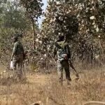 മഹാരാഷ്ട്രയിൽ സുരക്ഷാസേന അഞ്ച് മാവോയിസ്റ്റുകളെ വധിച്ചു, ​ഏറ്റുമുട്ടൽ നടന്നത് വനമേഖലയിൽ