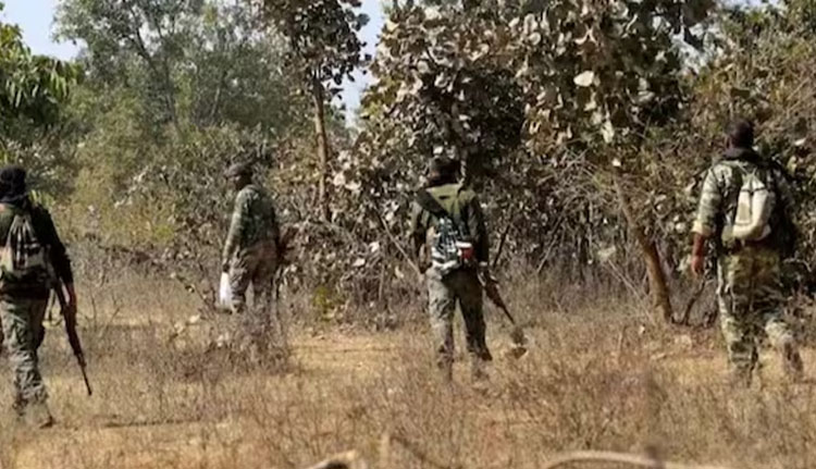 മഹാരാഷ്ട്രയിൽ സുരക്ഷാസേന അഞ്ച് മാവോയിസ്റ്റുകളെ വധിച്ചു, ​ഏറ്റുമുട്ടൽ നടന്നത് വനമേഖലയിൽ