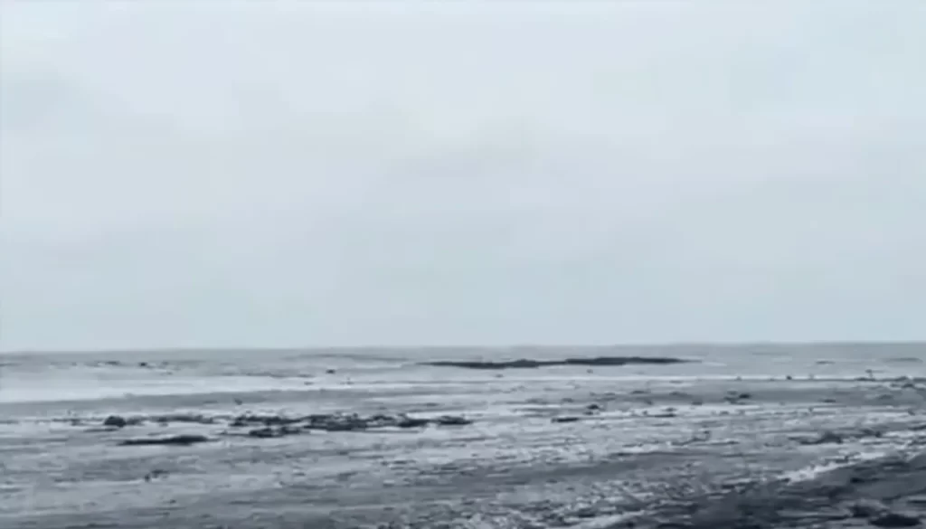 ആലപ്പുഴ ജില്ലയിൽ കടൽ നൂറ് മീറ്റർ ഉൾവലിഞ്ഞു; എല്ലാ തീരദേശ ജില്ലകളിലും റെഡ് അലർട്ട്