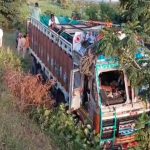 ബന്നാർഘട്ട പാർക്കിലേക്ക് മൃഗങ്ങളെ കയറ്റിക്കൊണ്ട് വന്ന ലോറി മറിഞ്ഞ് അപകടം