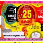 ഓണം ബമ്പർ 25 കോടി രൂപ TG 434222 എന്ന നമ്പരിന്; ടിക്കറ്റ് വിറ്റത് വയനാട്ടിൽ