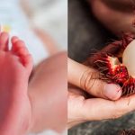 റംബൂട്ടാൻ തൊണ്ടയിൽ കുടുങ്ങി; 5 മാസം പ്രായമുള്ള കുഞ്ഞിന് ദാരുണാന്ത്യം