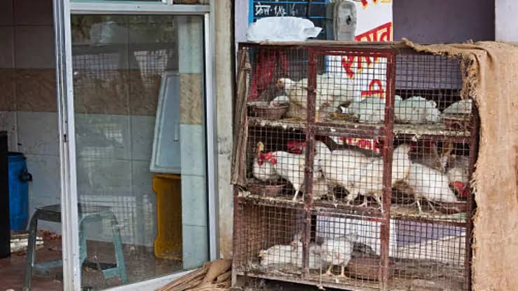 ഗാന്ധിജയന്തി; ബെംഗളൂരുവിൽ നാളെ മാംസ വിൽപനയ്ക്ക് നിരോധനം