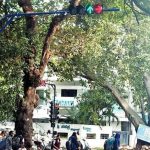 എഐ അധിഷ്ഠിത ട്രാഫിക് സിഗ്നല്‍; ബെംഗളൂരുവിൽ ഗതാഗതകുരുക്ക് 33 ശതമാനം കുറഞ്ഞു