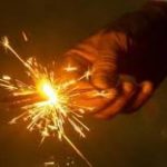 അന്തരീക്ഷ മലിനീകരണം; ഡൽഹിയിൽ പടക്കങ്ങൾക്ക് നിരോധനം