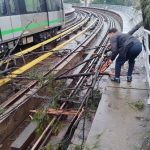 മെട്രോ ട്രാക്കിലേക്ക് മരം പൊട്ടിവീണു; പർപ്പിൾ ലൈനിലെ സർവീസ് തടസപ്പെട്ടു