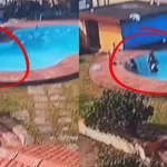 നീന്തൽക്കുളത്തിൽ മൂന്ന് യുവതികൾ മുങ്ങിമരിച്ച സംഭവം; രണ്ടുപേർ അറസ്റ്റിൽ