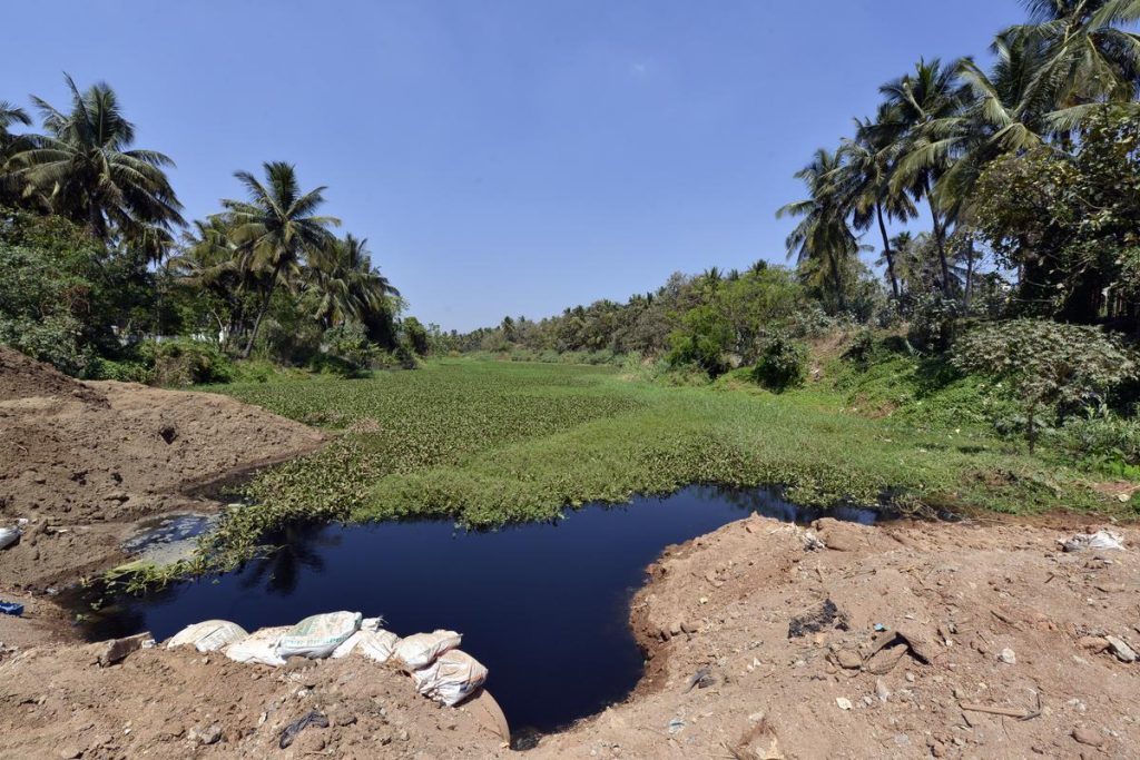 കാൻസർ ഉൾപ്പെടെയുള്ള മാരകരോഗങ്ങൾക്ക് സാധ്യത; അർക്കാവതി നദിയിൽ മെർക്കുറിയും ഡിഡിടിയും കലർന്നതായി റിപ്പോർട്ട്‌