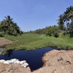 കാൻസർ ഉൾപ്പെടെയുള്ള മാരകരോഗങ്ങൾക്ക് സാധ്യത; അർക്കാവതി നദിയിൽ മെർക്കുറിയും ഡിഡിടിയും കലർന്നതായി റിപ്പോർട്ട്‌