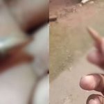 വീടിന്റെ ഷീറ്റ് തുളച്ച്‌ വെടിയുണ്ട അകത്ത് പതിച്ചു