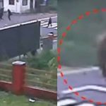 സ്കൂള്‍ വിദ്യാർഥികള്‍ക്ക് നേരെ പാഞ്ഞടുത്ത് കാട്ടാന; കുട്ടികള്‍ രക്ഷപ്പെട്ടത് തലനാരിഴയ്‌ക്ക്