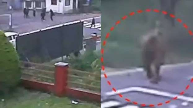 സ്കൂള്‍ വിദ്യാർഥികള്‍ക്ക് നേരെ പാഞ്ഞടുത്ത് കാട്ടാന; കുട്ടികള്‍ രക്ഷപ്പെട്ടത് തലനാരിഴയ്‌ക്ക്