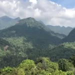 പശുവിനെ തിരഞ്ഞ് വനത്തിൽപോയ 3 സ്ത്രീകളെ കാണാനില്ല; തിരച്ചിൽ