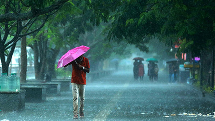 തോരാമഴ തുടരുന്നു; വിവിധ ജില്ലകളിലെ വിദ്യാഭ്യാസ സ്ഥാപനങ്ങൾക്ക് നാളെ അവധി