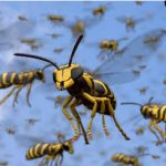 കൊല്ലത്ത് കടന്നൽ കുത്തേറ്റ് ഏഴ് പേർക്ക് പരുക്ക്; ഒരാൾ ഗുരുതരാവസ്ഥയിൽ