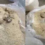 ഉരുള്‍പൊട്ടല്‍ ദുരന്തബാധിതര്‍ക്ക് വിതരണം ചെയ്തത് പുഴുവരിച്ച അരി