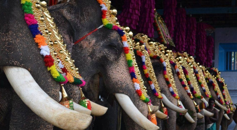 ആന എഴുന്നള്ളിപ്പ്; ഹൈക്കോടതി ഉത്തരവ് സുപ്രിംകോടതി സ്റ്റേ ചെയ്തു