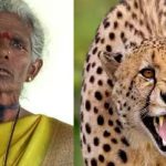 പുള്ളിപ്പുലിയുടെ ആക്രമണത്തിൽ അമ്പതുകാരി മരിച്ചു