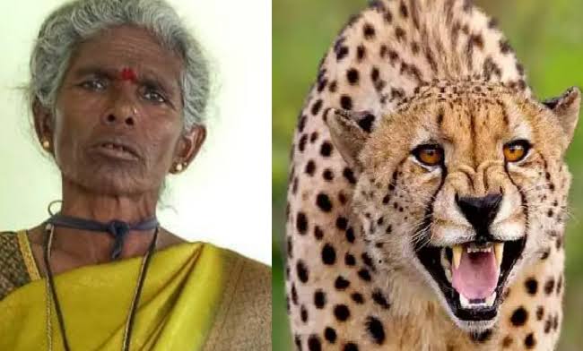 പുള്ളിപ്പുലിയുടെ ആക്രമണത്തിൽ അമ്പതുകാരി മരിച്ചു