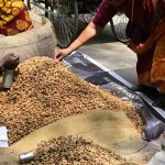 ബെംഗളൂരു കടലേക്കായ് പരിഷേക്ക് ഇന്ന് തുടക്കം