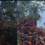 കണ്ണൂരിൽ നാടകസംഘം സഞ്ചരിച്ച മിനി ബസ് മറിഞ്ഞ് രണ്ട് മരണം