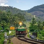 പാലക്കാട്ട് ട്രെയിൻ ഇടിച്ച് 17 പശുക്കൾ കൂട്ടത്തോടെ ചത്തു