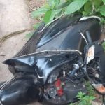 സ്കൂട്ടർ യാത്രികർക്ക് നേരെ കാട്ടുപോത്ത് ആക്രമം; രണ്ട് യുവാക്കൾക്ക് പരുക്ക്