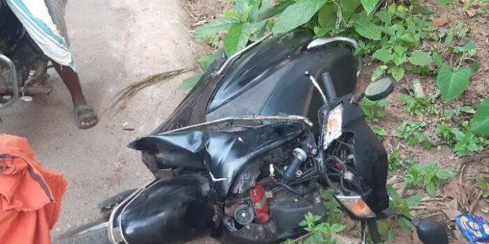 സ്കൂട്ടർ യാത്രികർക്ക് നേരെ കാട്ടുപോത്ത് ആക്രമം; രണ്ട് യുവാക്കൾക്ക് പരുക്ക്