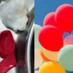 ബലൂണ്‍ വീര്‍പ്പിക്കുന്നതിനിടെ തൊണ്ടയില്‍ കുടുങ്ങി; 13 വയസുകാരന് ദാരുണാന്ത്യം