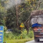 ബന്ദിപ്പൂർ ഗ്രീൻ സെസ് ഇനി ഫാസ്ടാഗിലൂടെ അടക്കാം