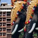 ‘ആനയെഴുന്നള്ളിപ്പില്‍ ഹൈക്കോടതി നിര്‍ദേശങ്ങള്‍ പാലിച്ചില്ല’; തൃപ്പൂണിത്തുറ പൂര്‍ണത്രയീശ ക്ഷേത്രം ഭാരവാഹികള്‍ക്കെതിരേ കേസ്