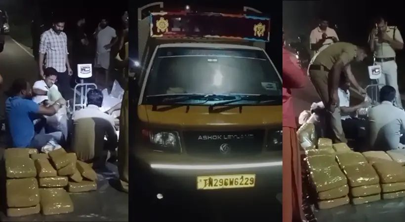 വൻ കഞ്ചാവ് വേട്ട; പിക്കപ്പ് വാനില്‍ കടത്തിയ 80 കിലോ പിടികൂടി